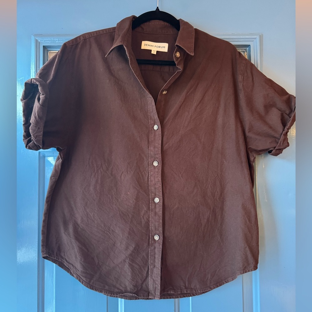 Aritzia Denim Forum Oversized Button Down Shirt